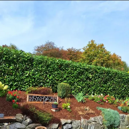 Bodenseeperle * 프리드리히스하펜